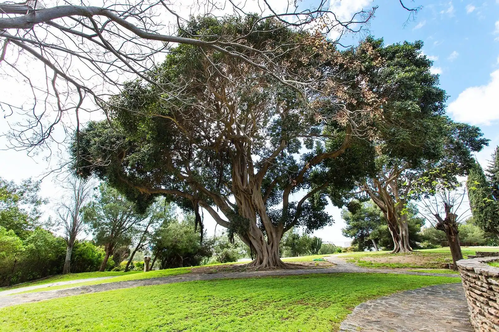 Jardín de Piso en venta en Benalmádena con Aire acondicionado, Calefacción y Jardín privado