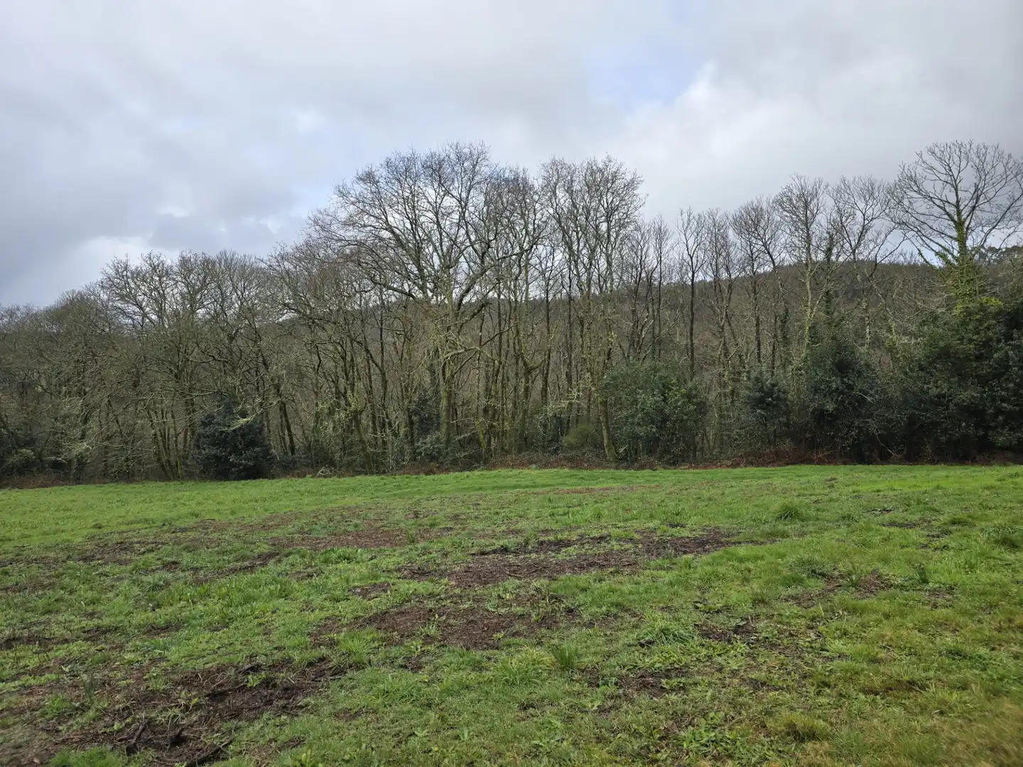 Finca rústica en venda en Cerceda amb Jardí privat