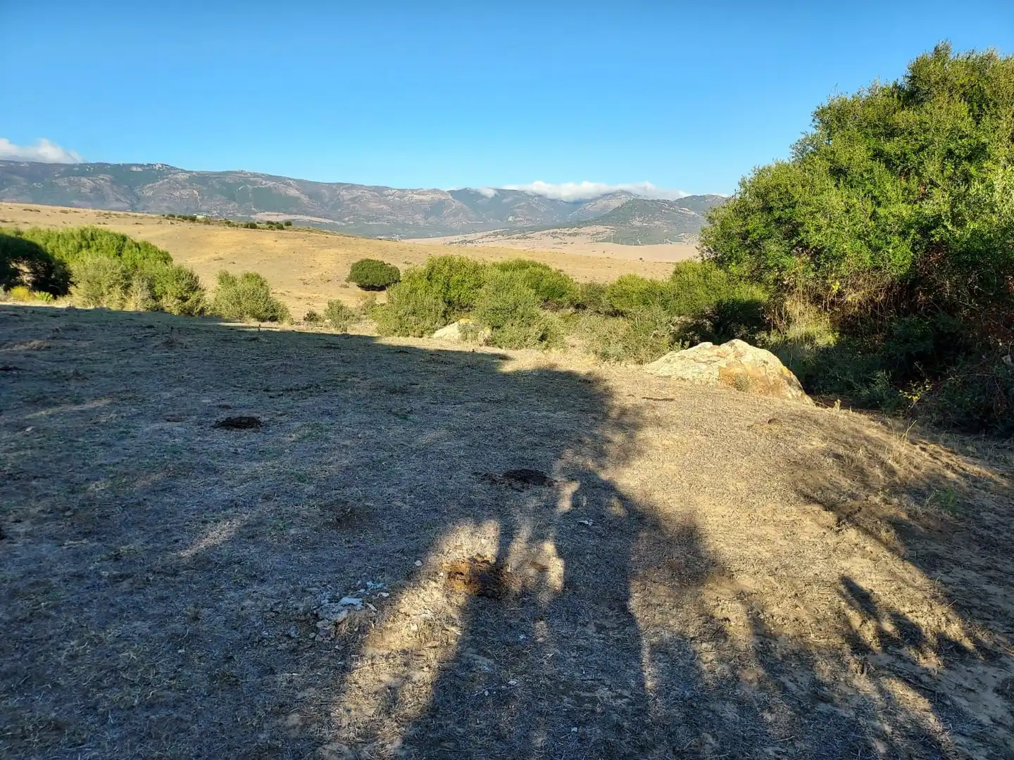 Residential zur Miete in Tarifa
