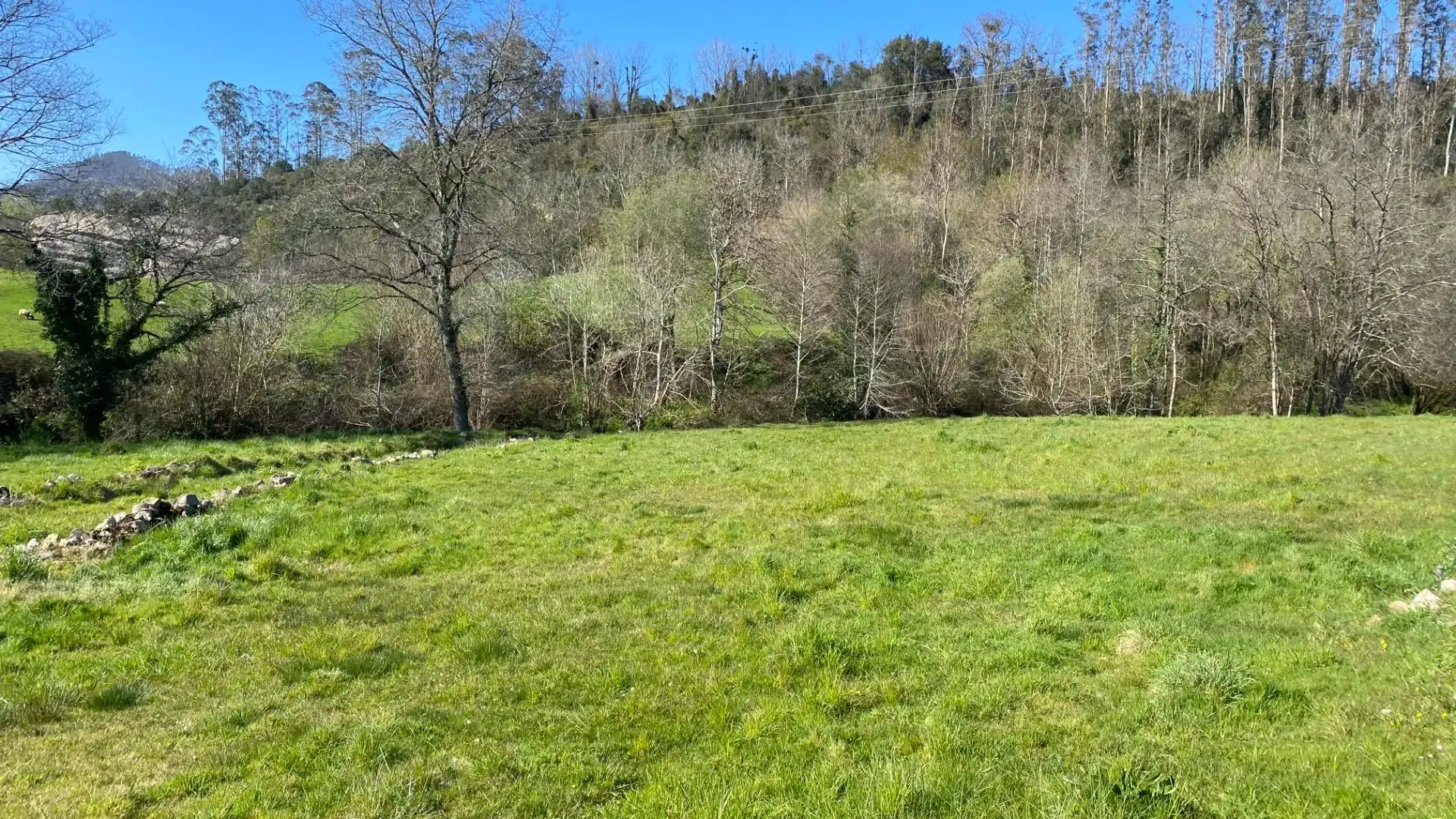 Terreni e lotti in vendita a Valdáliga, imagen 5