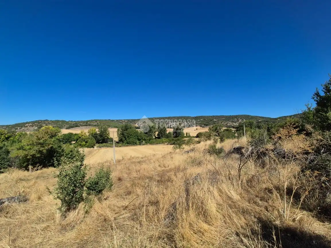 Residential land for sale in Calle Nte., imagen 12