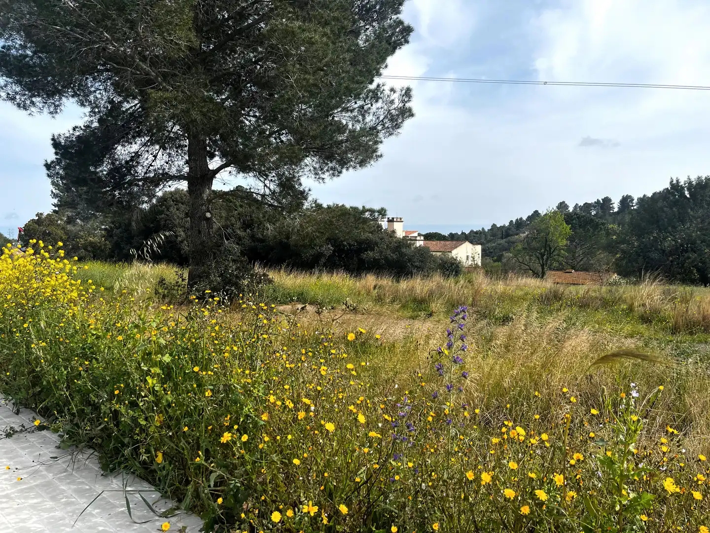 Terreny residencial en venda a Castellvell del Camp, imagen 2