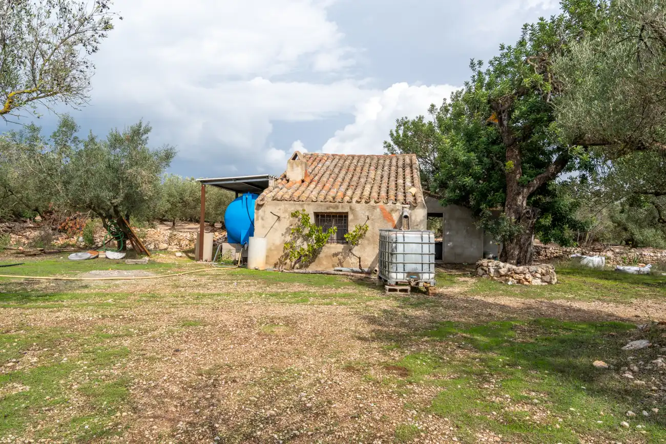 Terrain rustique à vendre à N/A, imagen 11