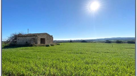 Photo 2 of Residential for sale in Vell de Muro, 1, Zona Periurbana, Illes Balears