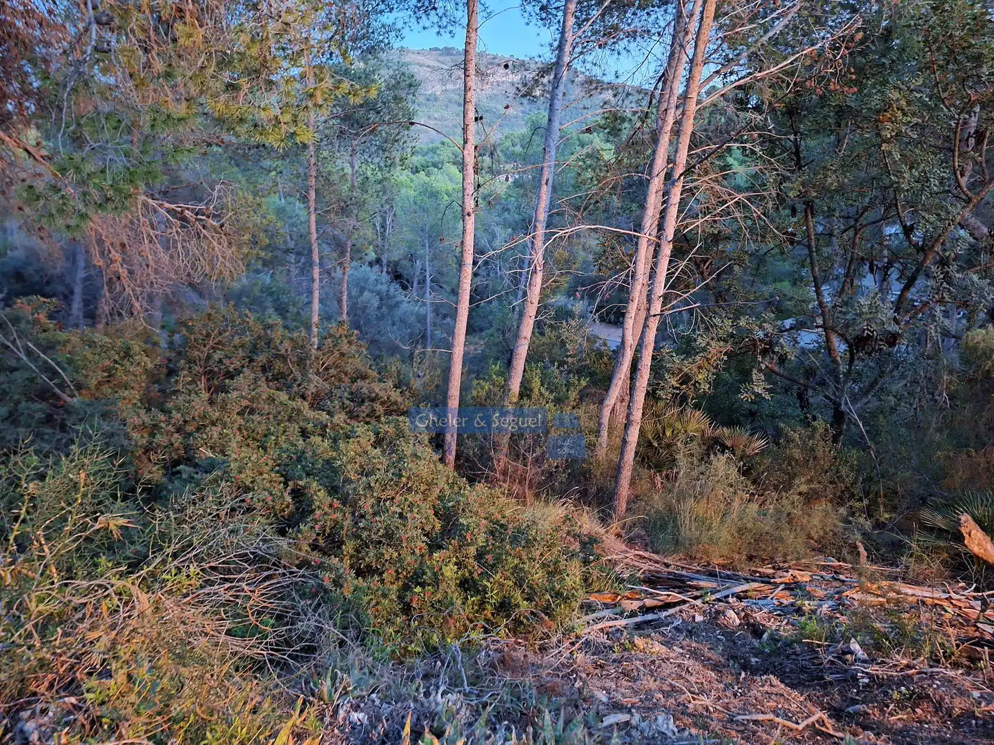 Lands and plots for sale in Monteamor - La Carrasca - El Peucal, imagen 5