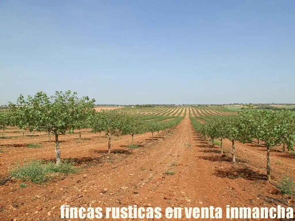 Terreni e lotti in vendita a Belmonte, imagen 15