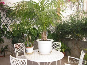 House for sale in El Valle