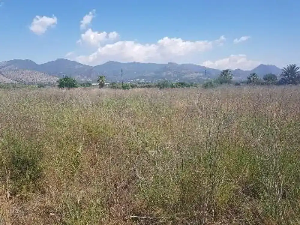 Residencial en venda en Benicasim / Benicàssim