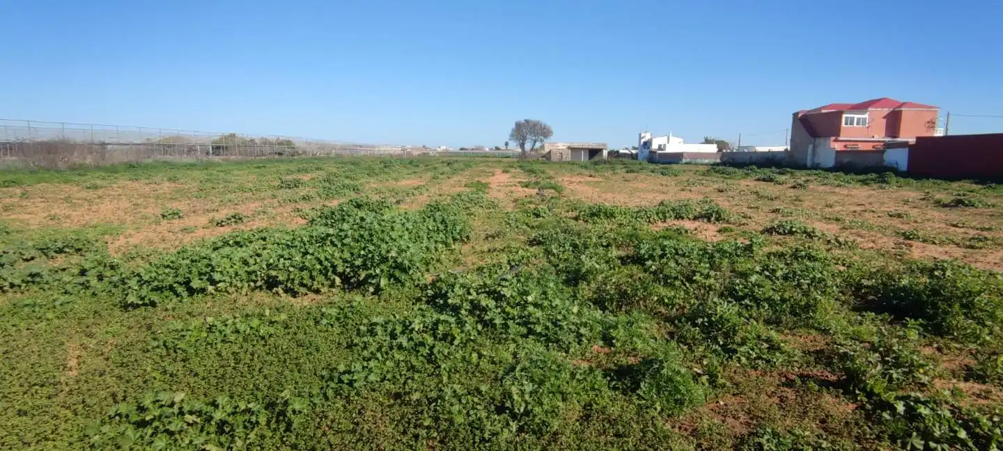 Terreno rustico in vendita a CM DEL AHORCADO, imagen 6