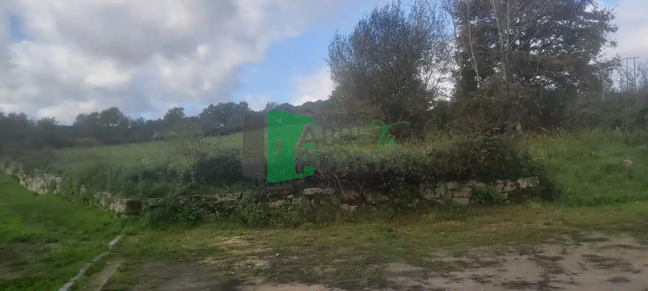 Rural land for sale in Allariz, imagen 4