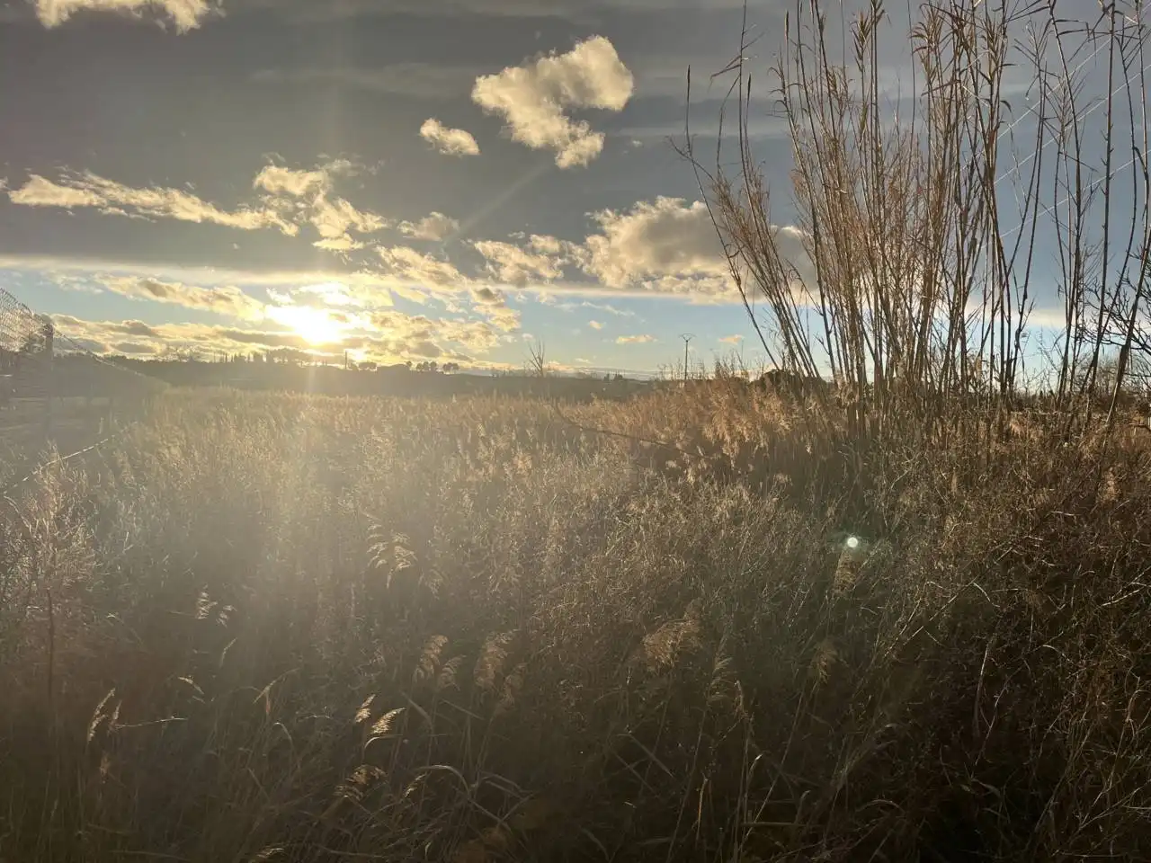 Grundstücke zur Miete in Alcañiz