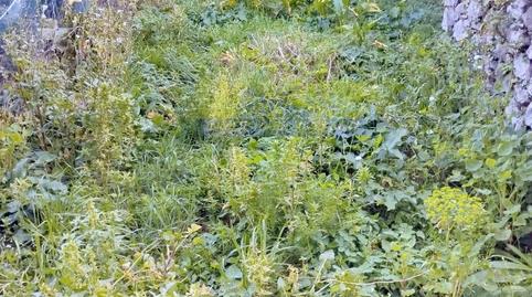 Photo 2 of Country house for sale in Barrio Sonabia, Oriñón - Allendelagua, Castro-Urdiales