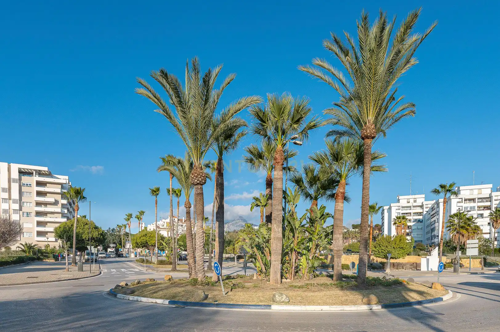 Vista exterior de Local de alquiler en Marbella