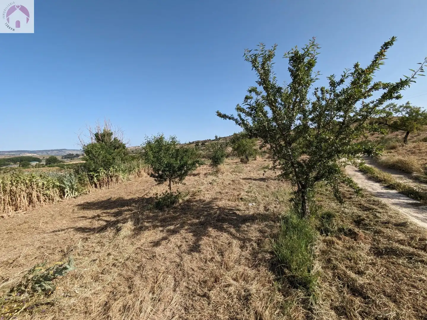 Residential land for sale in EXTRARRADIO, imagen 3