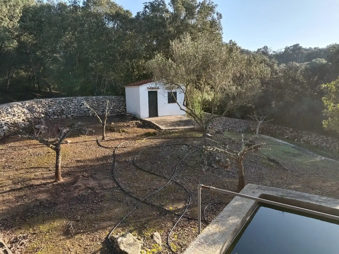 Casa o xalet en venda a Ses Salines de Fornells