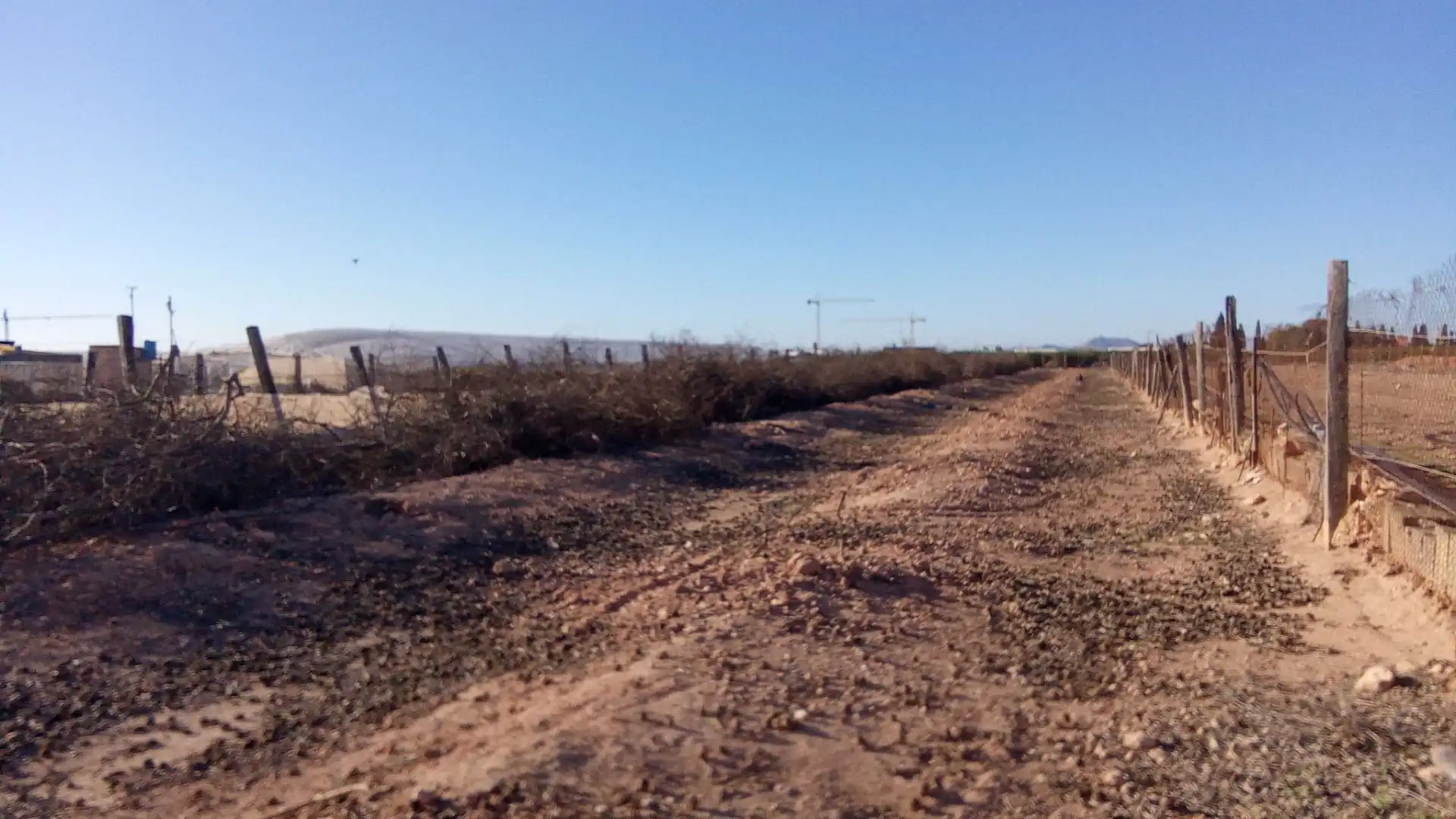 Terreno en venta en Pilar de la Horadada