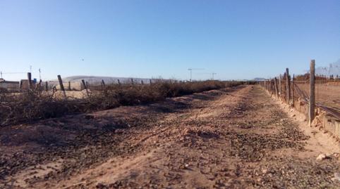 Photo 5 of Land for sale in Pilar de la Horadada ciudad, Alicante