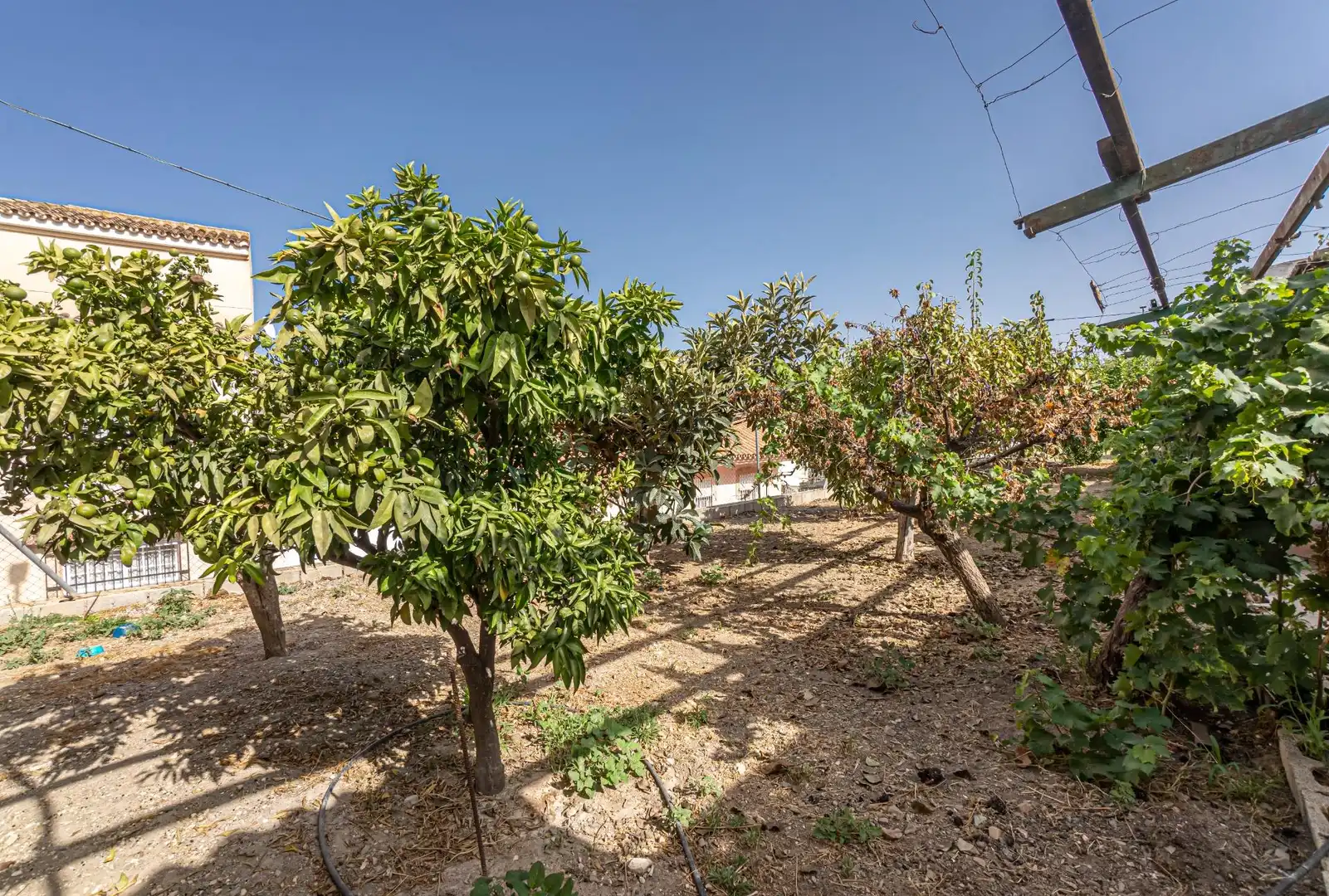 Finca rústica en venda en Málaga amb Aire condicionat, Terrassa i Traster