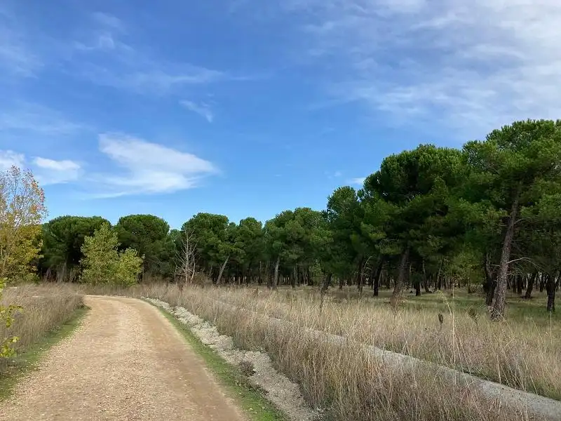 Terreno rustico in vendita a Pelabravo