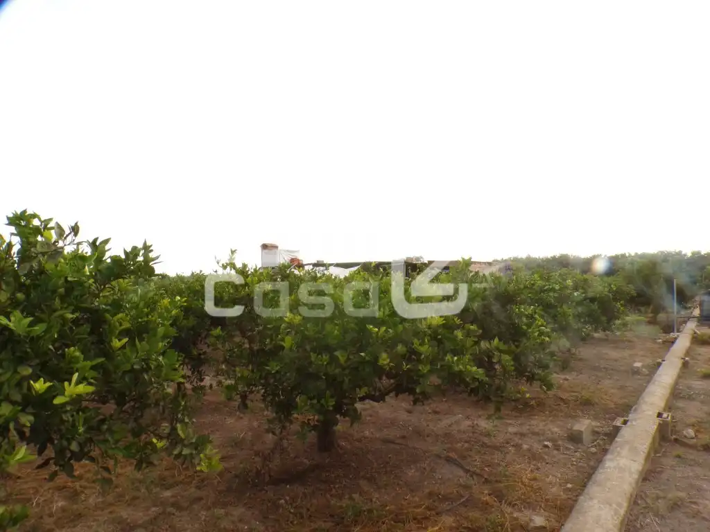 Casa rustica in vendita a Poligono 1 Paraje 48 Les Jovades, imagen 5