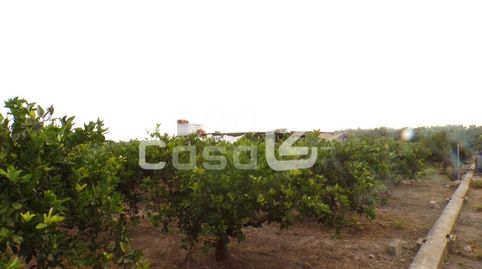 Foto 5 de Finca rústica en venta en Poligono 1 Paraje 48 Les Jovades, Albalat de la Ribera, Valencia