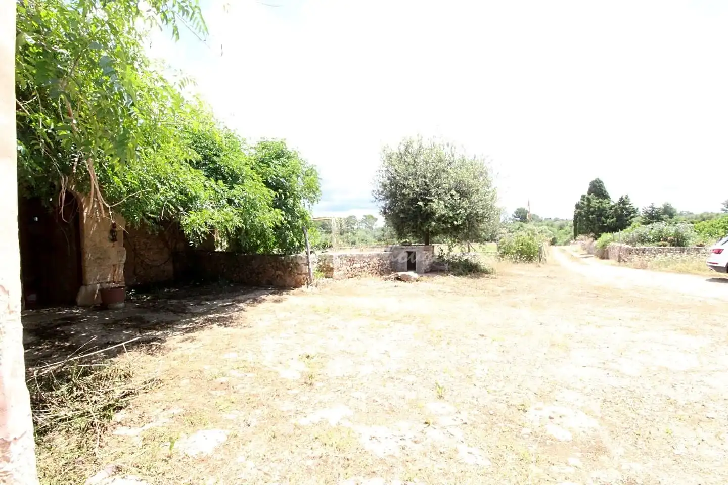 Maison rustique à vendre à lloret de vista alegre, imagen 22