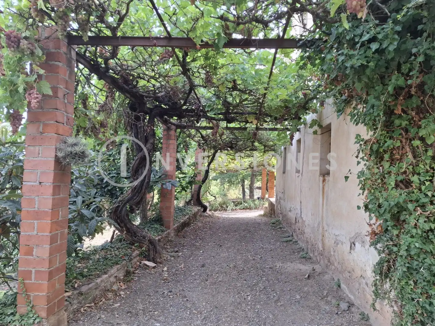 Exterior view of Country homes for sale in Vimbodí i Poblet  with Heating, Private garden and Terrace