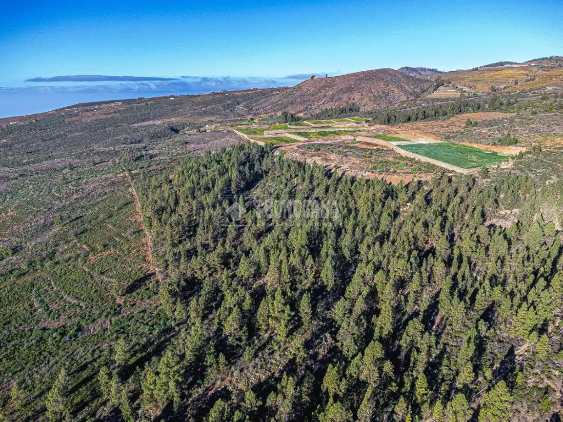 Terreno rústico en venta en Poligono 1, ERA VERDE, VILAFLOR DE CHASNA, imagen 15