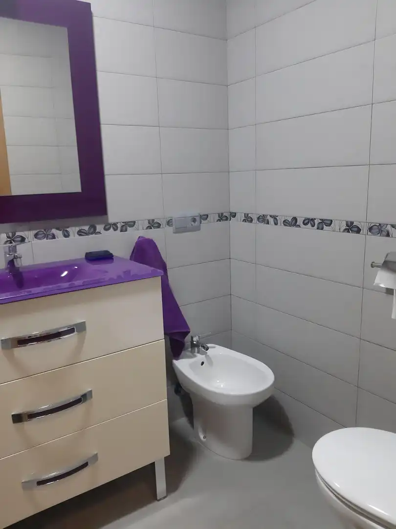 Bathroom of Flat for rent in Algeciras  with Air Conditioner and Furnished