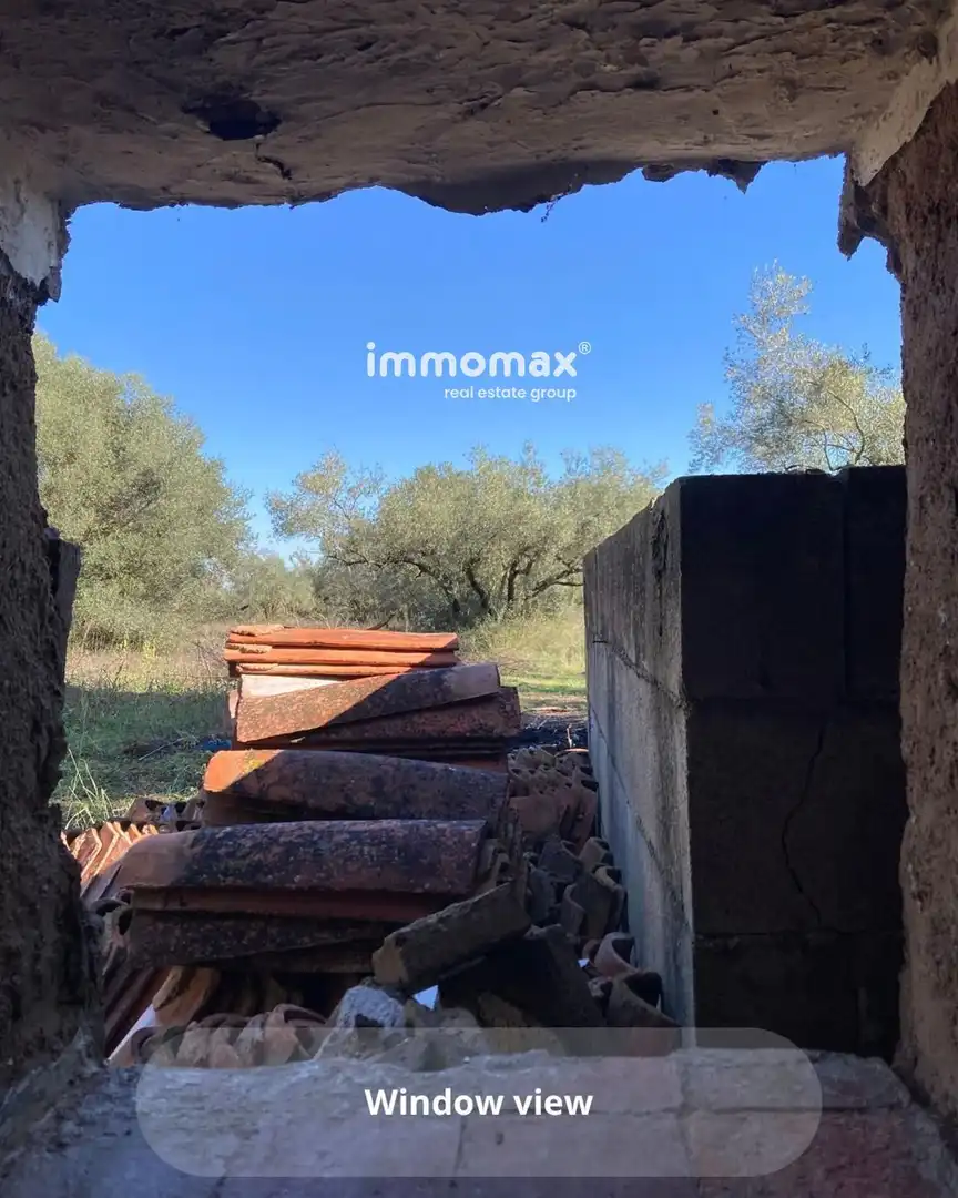Rural land for sale in Godall, imagen 10