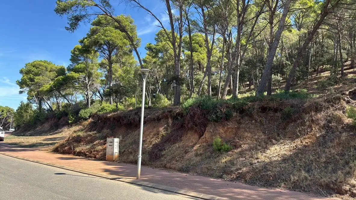 Lands and plots for sale in Sa Tamardia 19, imagen 13