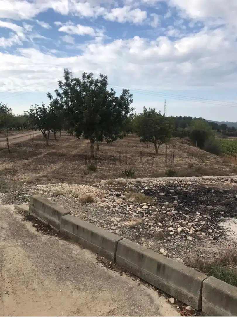 Finca rústica en venda a Carretera de Castellet, 114, L'Arboç