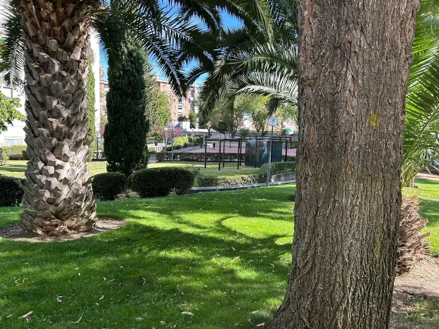 Jardín de Piso para compartir en Madrid con Amueblado