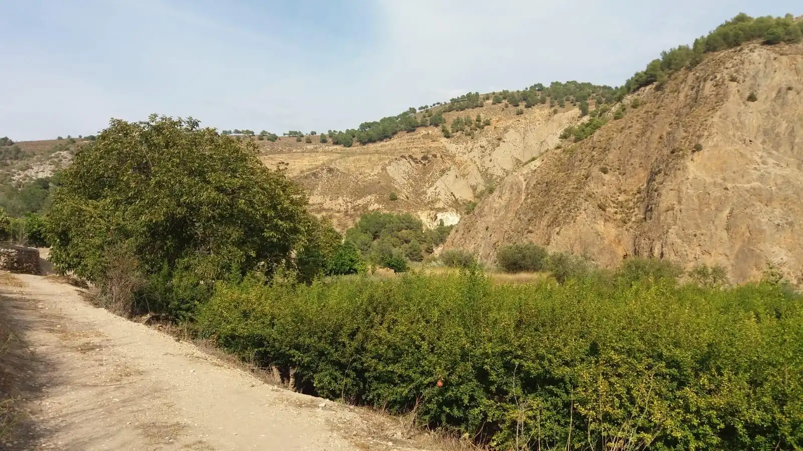 Rural land for sale in Villamena, imagen 5