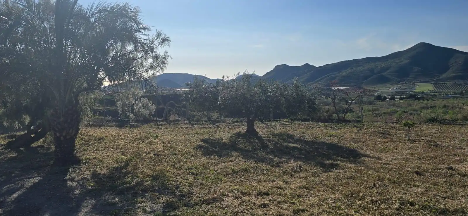 Casa o chalet en venta en Lorca