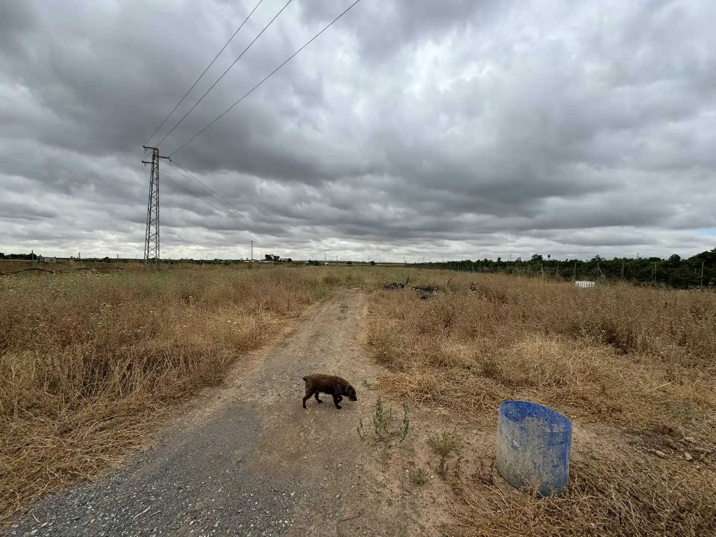 Terreni e lotti in vendita a Cantillana, imagen 41