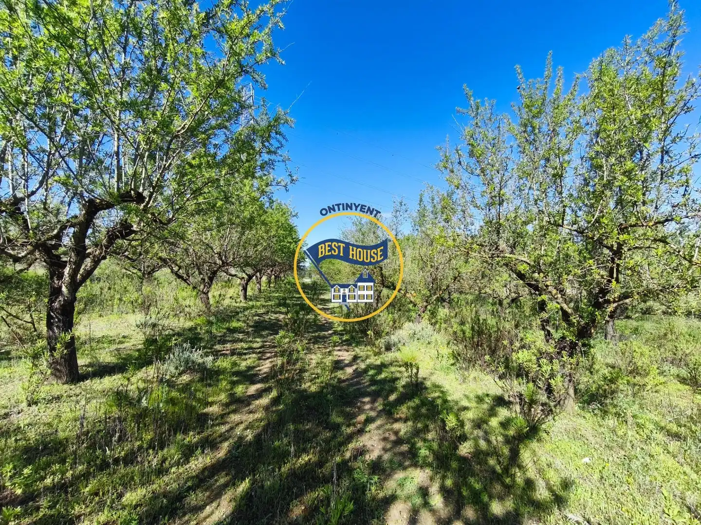 Terreno rustico in vendita a Albaida