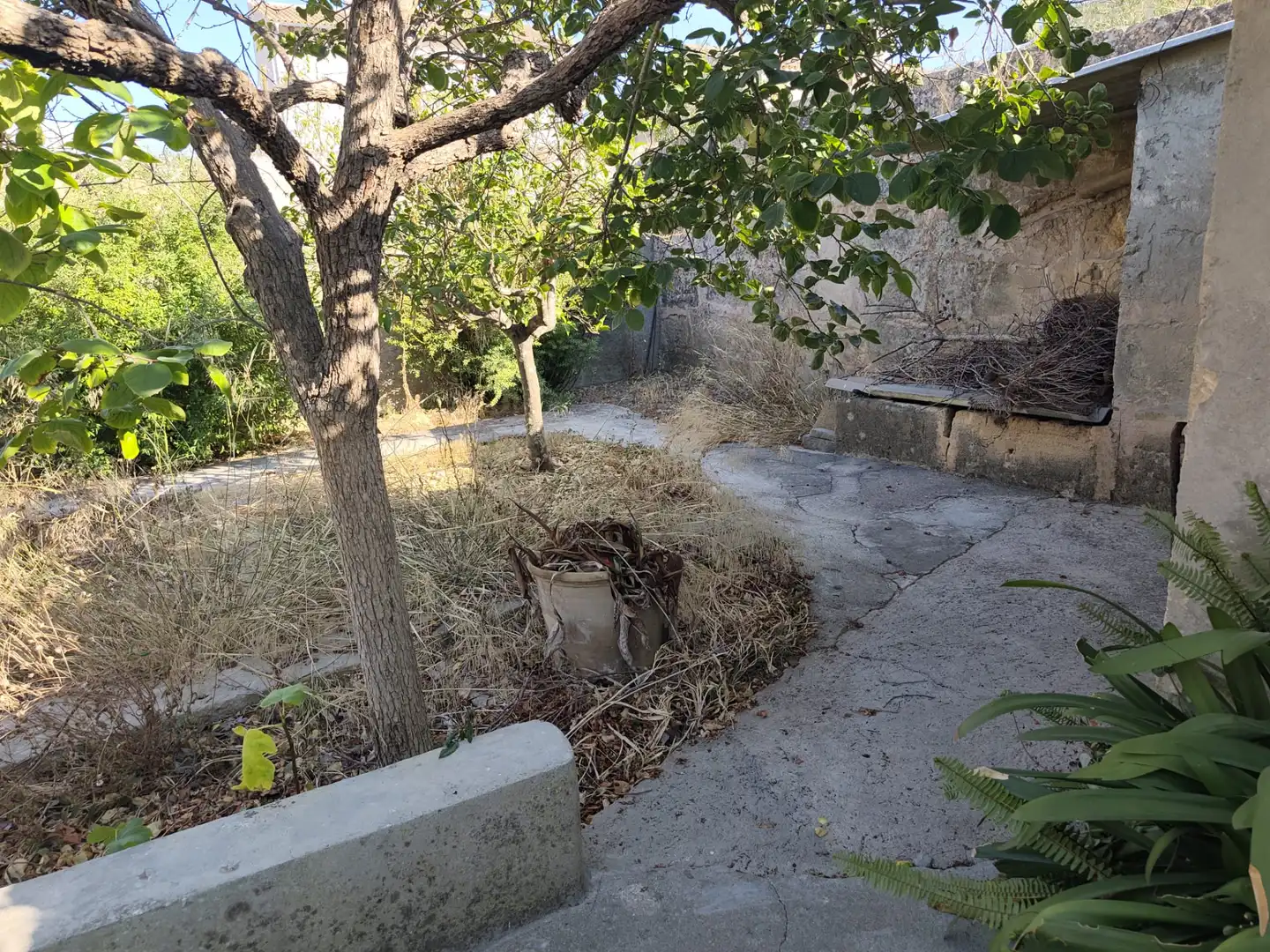 Jardí de Casa o xalet en venda en Ariany amb Jardí privat, Terrassa i Traster