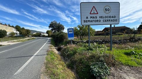 el meloncillo