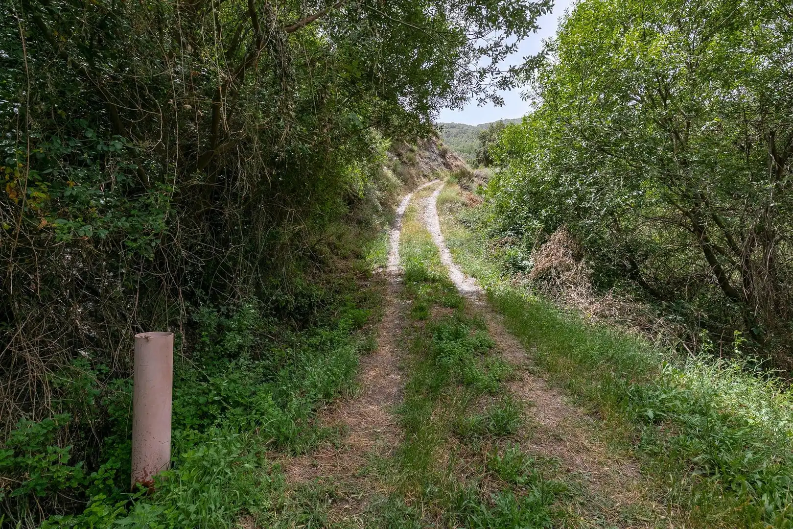 Terreni e lotti in vendita a Majadillas, imagen 44