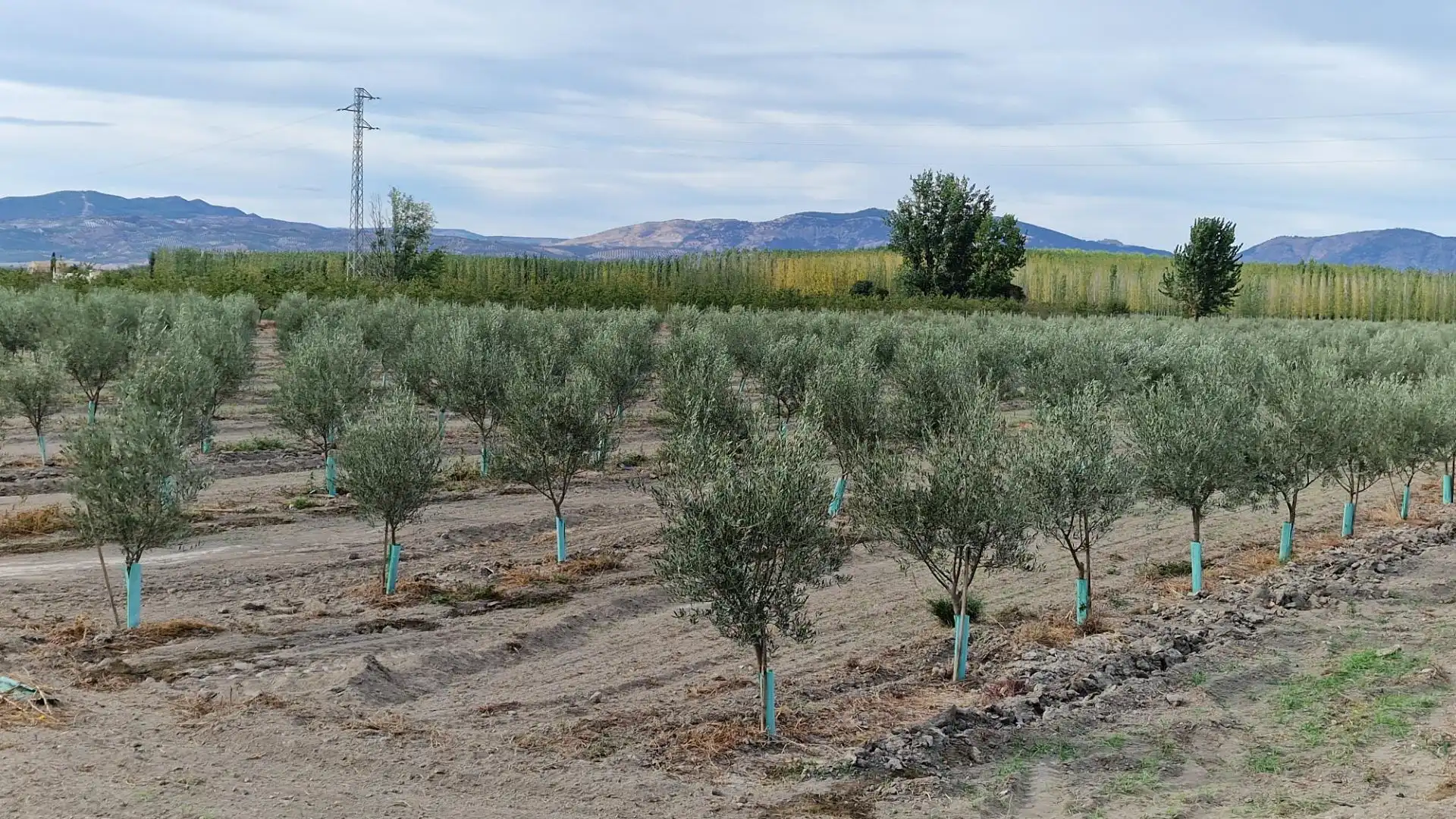Terreno en venta en Santa Fe