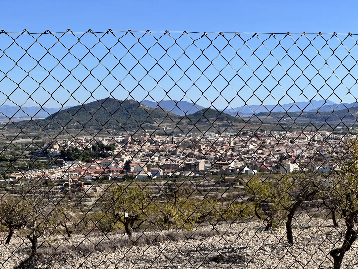 Vista exterior de Casa o chalet en venta en Bullas con Aire acondicionado, Calefacción y Jardín privado