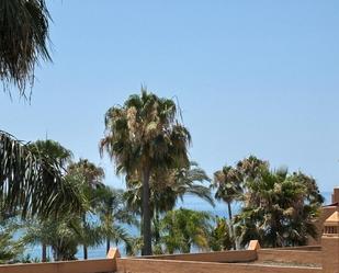 Vista exterior de Planta baixa de lloguer en Estepona amb Aire condicionat, Terrassa i Moblat