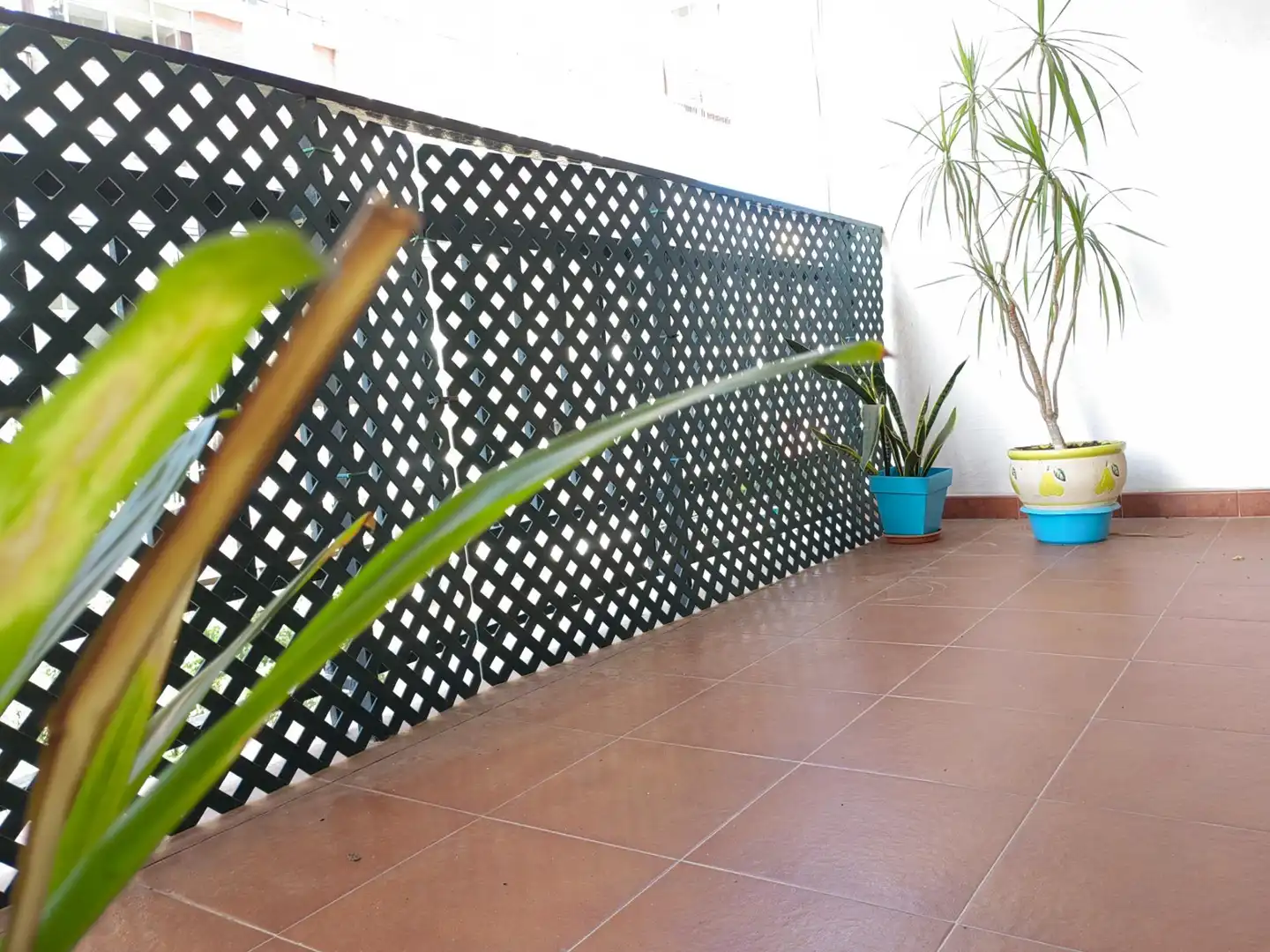 Terrace of Flat for sale in Carretera de Cádiz