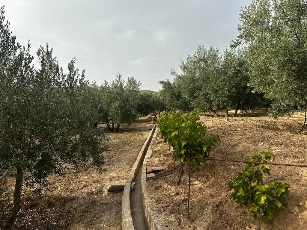 Terrain rustique à vendre à Peligros, imagen 8
