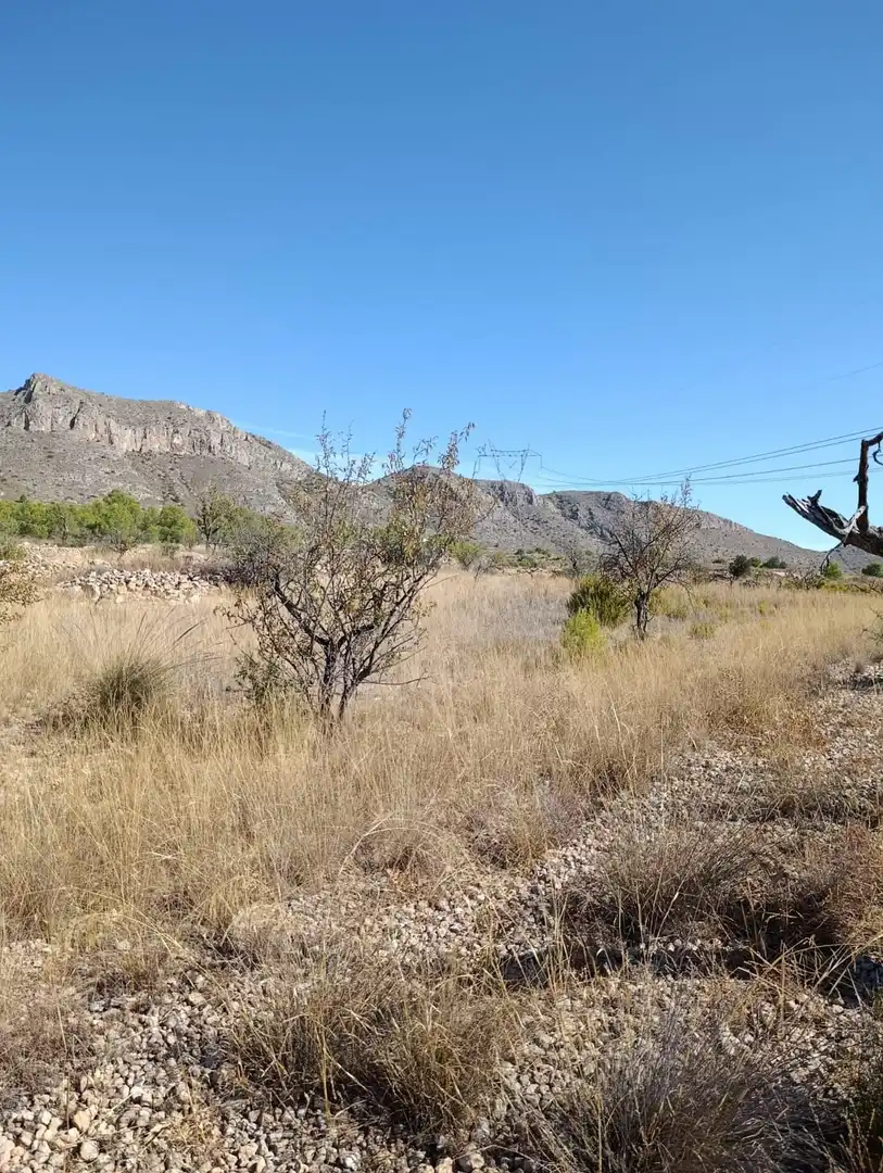 Terreno rustico in vendita a Hondón de las Nieves / El Fondó de les Neus, imagen 26