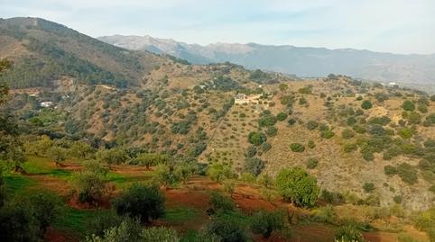 Photo 5 of Land for sale in Tolox, Málaga