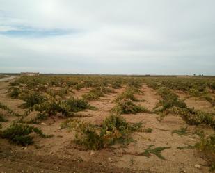 Finca rústica en venda en Las Mesas  