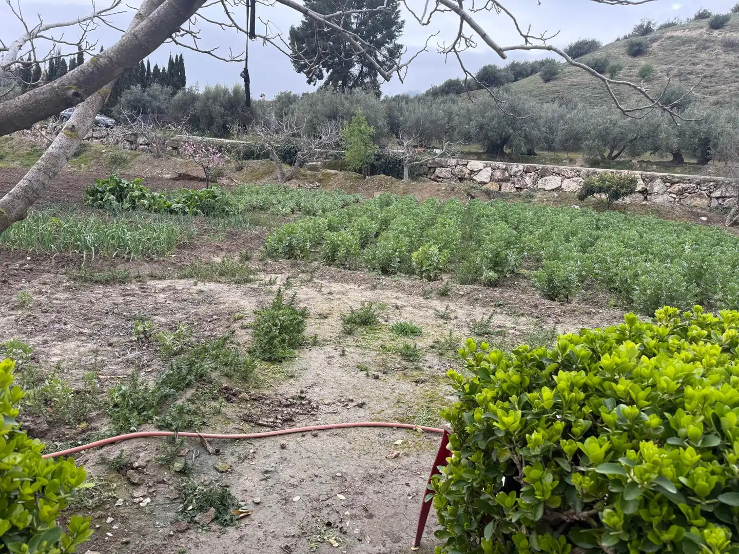 Houses for sale in Jaén  with Private garden