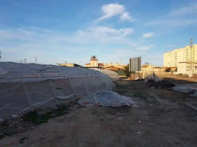 Land for sale in Sueca